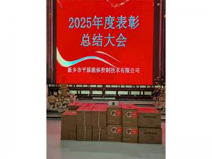 表彰先進(jìn)，禮贈(zèng)驚喜，共啟新程